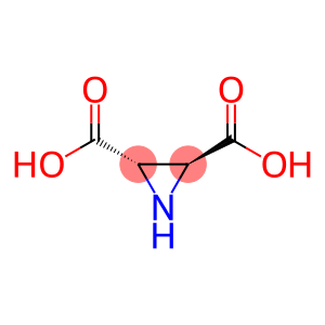 2,3-dicarboxyaziridine