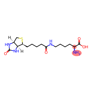 L-BIOCYTIN
