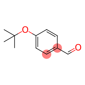 4-叔丁氧基苯甲醛