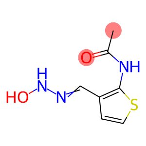 Acetamide, N-[3-[(hydroxyamino)iminomethyl]-2-thienyl]-