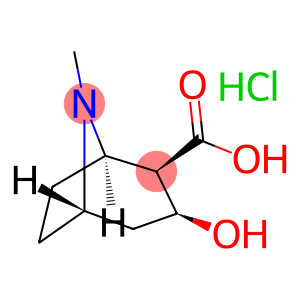 5-alpha-h-tropane-2-beta-carboxylicacid,3-beta-hydroxy-1-alpha-hydrochlor