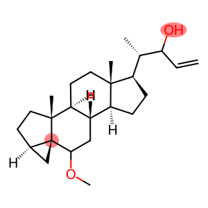 3,5-Cyclochol-23-en-22-ol, 6-methoxy-, (3β,5α)- (9CI)