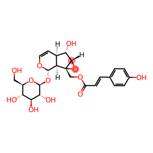 10-O-(E)-P-COUMAROYLCATALPOL