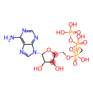 ALPHA,BETA-METHYLENEADENOSINE-5'-TRIPHOSPHATE