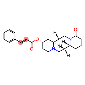 13α-Cinnamoyloxylupanine