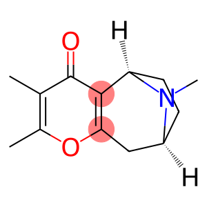 Darlingine