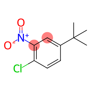 1-TERT-BUTYL-3-NITRO-4-CHLORO BENZENE