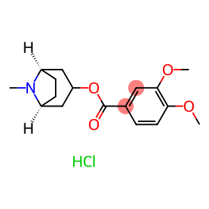 CONVOLVAMINE HYDROCHLORIDE