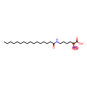 N6-(1-oxohexadecyl)-L-lysine