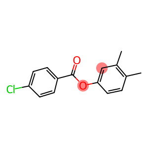 3,4-DIMETHYLPHENYL 4-CHLOROBENZOATE