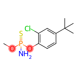 Phosphoramidothioic acid, O-[2-chloro-4-(1,1-dimethylethyl)phenyl] O-methyl ester