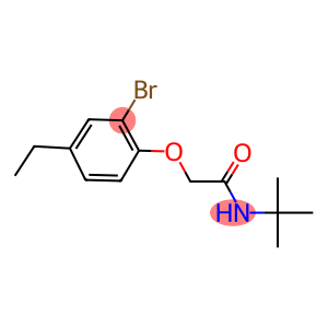 2-(2-bromo-4-ethylphenoxy)-N-(tert-butyl)acetamide