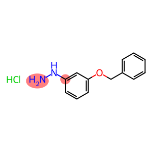 3-Benzyloxyphenylhydrazine hydrochloride