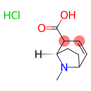 (1R)-8-甲基-8-氮杂双环[3.2.1]辛-3-烯-2-羧酸盐酸盐