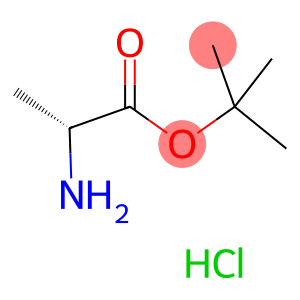 H-D-Ala-OtBu·HCl