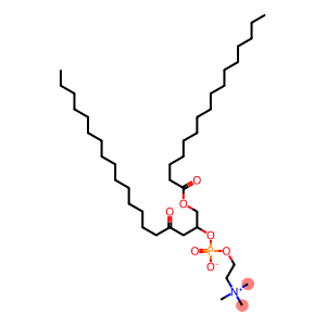 N,N,N-Trimethyl-2-[[[[1,3-bis(hexadecanoyloxy)propan-2-yl]oxy]oxylatophosphinyl]oxy]ethan-1-aminium