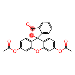 荧光素二乙酸盐