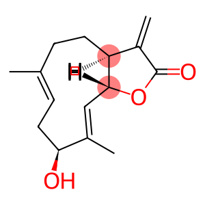 Hanphyllin