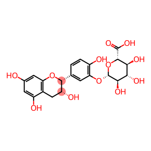 (-)-Epicatechin-3''-O-glucuronide