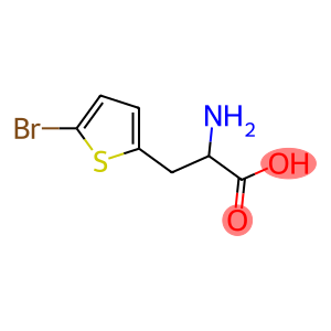 2-Amino-3-(5-bromothiophen-2-yl)propanoic acid