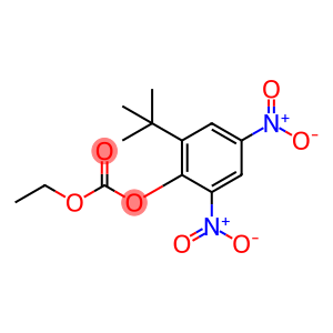 Carbonic acid ethyl(2-tert-butyl-4,6-dinitrophenyl) ester