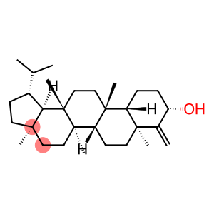 (18β,19β)-D:A-Friedolup-4(23)-en-3β-ol