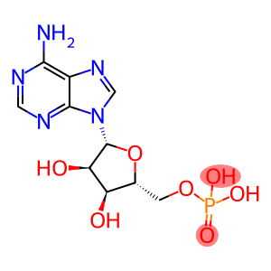 腺嘌呤核苷酸 标准品