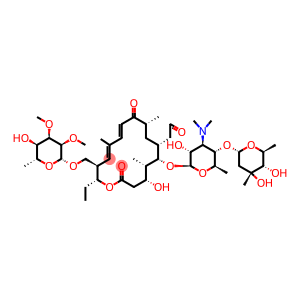 Tylonide