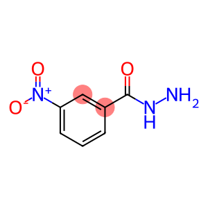 M-NITROBENZHYDRAZIDE