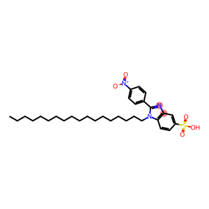 2-(4-Nitrophenyl)-1-octadecyl-1H-benzimidazole-5-sulfonic acid