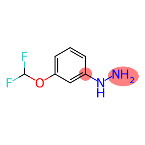 Hydrazine, [3-(difluoromethoxy)phenyl]-