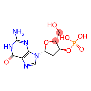 2'-deoxyguanosine 3'-(dihydrogen phosphate)