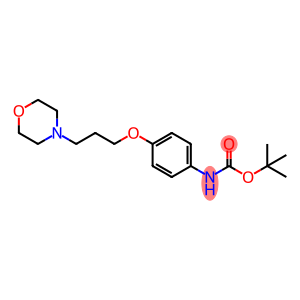 Carbamic acid, N-[4-[3-(4-morpholinyl)propoxy]phenyl]-, 1,1-dimethylethyl ester