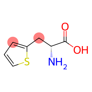 3-(2-噻吩基)-D-丙氨酸