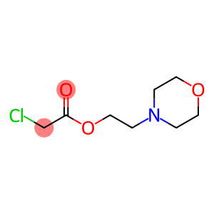 氯-乙酸2-吗啉-4-基-乙酯