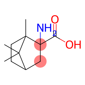 2-AMINO-1,7,7-TRIMETHYLBICYCLO[2.2.1]HEPTANE-2-CARBOXYLIC ACID