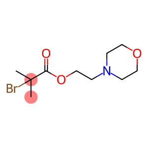 2-(4-MORPHOLINO)ETHYL 2-BROMOISOBUTYRATE