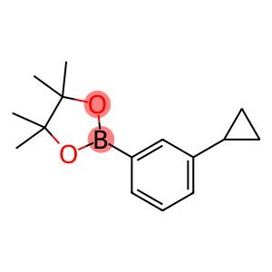 2-(3-环丙基苯基)-4,4,5,5-四甲基-[1,3,2]二噁硼烷