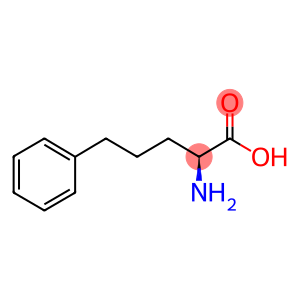 L-2-氨基-5-苯基-戊酸