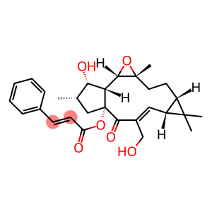 Jolkinol A