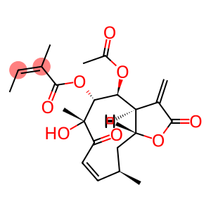 Caleine B