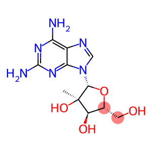 2,6-DiaMino-9-(2-C-Methyl-β-D-ribofuranosyl)-9H-purine