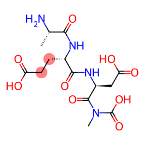 Epithalamin