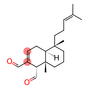 Isosacculatal