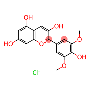 MALVINIDOL CHLORIDE 氯化锦葵素