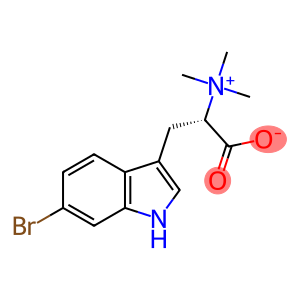 L-6-bromohypaporphine