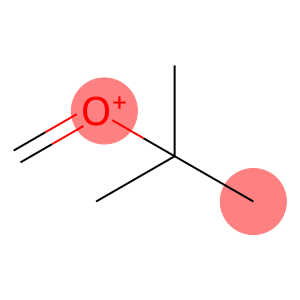 Oxonium, (1,1-dimethylethyl)methylene-