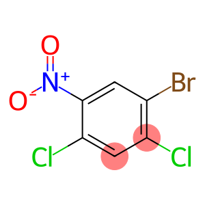 1-溴-2,4-二氯-5-硝基苯