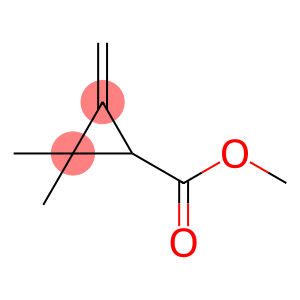 Cyclopropanecarboxylic acid, 2,2-dimethyl-3-methylene-, methyl ester (9CI)