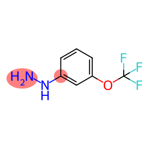 3-trifluoromethoxy phenylhydrazine